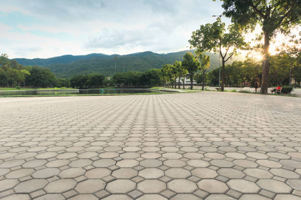 Best Permeable Paver Driveway  in Arbutus, MD
